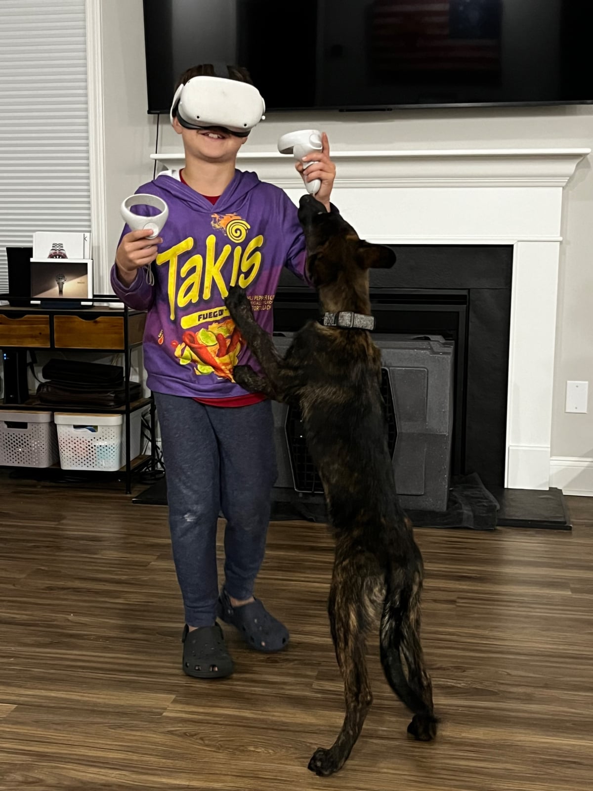 How To Stop A Dog From Jumping On People